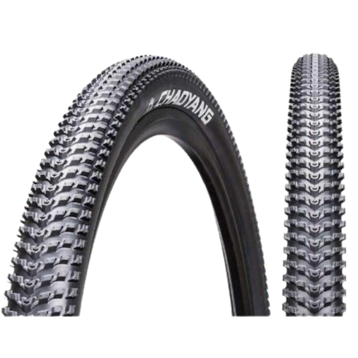 CHAOYANG 29x2.10 DIŞ LASTİK