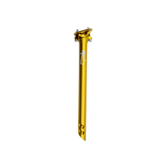 RAPTOR SELE BORUSU SARI